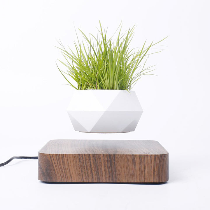 FloatBonsai: The Levitating Plant Pot